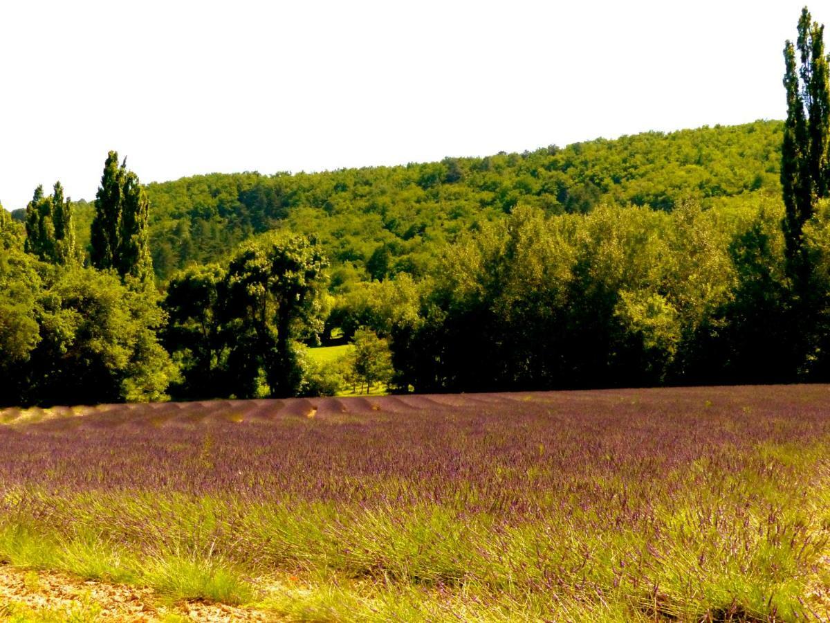 Hotel La Fontaine De Rocoule Rochefort-en-Valdaine Zewnętrze zdjęcie